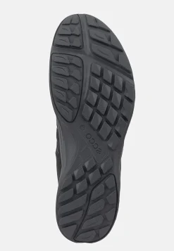 Kondisko Terracruise LT