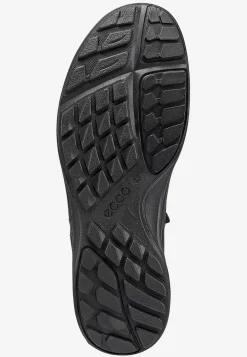 Kondisko Terracruise LT