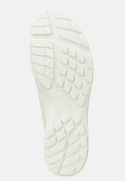 Kondisko Terracruise LT | Cellbes